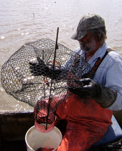 Crawfishing, pt 2